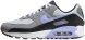 Чоловічі кросівки Nike Air Max 90 "Lavender" (DM0029-014), EUR 40,5