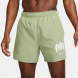 Шорты Nike Dri-Fit Division Challenger 5BF (DX0837-386), M