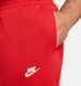 Штаны мужские Nike Sportswear Club Fleece (BV2671-657), XL