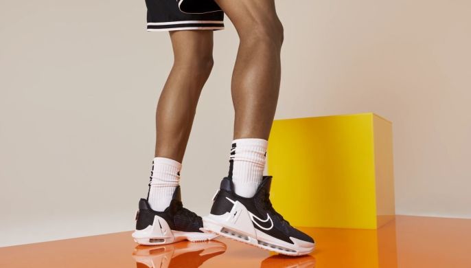 Баскетбольные кроссовки Nike LeBron Witness 6 (CZ4052-002)