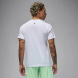 Футболка Air Jordan Sport Dri-FIT (HQ7984-100), L