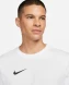 Футболка Мужская Nike Dri-Fit Park 20 M (CW6952-100)