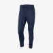 Чоловічі штани Nike M Nsw Optic Jggr (928493-457)
