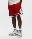 Шорти чоловічі Jordan Woven Diamond (FB7580-687), M