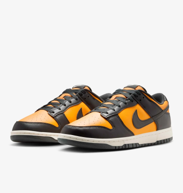 Кроссовки мужские Nike Dunk Low Retro 'Sundial' (HF5441-700)