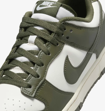 Мужские кроссовки Nike Dunk Low Retro (HF5441-102), EUR 42,5