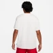 Футболка Мужская Nike Sportswear Max90 (FQ3792-121), M