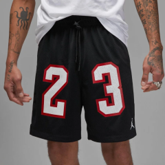 Шорты мужские Air Jordan M J Ess Mesh Gfx (DX9671-010)