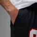 Шорты мужские Air Jordan M J Ess Mesh Gfx (DX9671-010), M