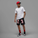 Шорты мужские Air Jordan M J Ess Mesh Gfx (DX9671-010), M