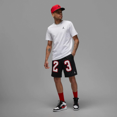 Шорты мужские Air Jordan M J Ess Mesh Gfx (DX9671-010), M