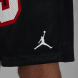 Шорты мужские Air Jordan M J Ess Mesh Gfx (DX9671-010), M