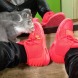 Nike Air Yeezy 2 Red October, EUR 41