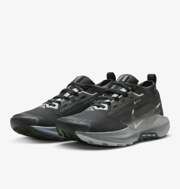 Кроссовки женские Nike Pegasus Trail 5 Gore-Tex (FQ0912-001), EUR 38,5