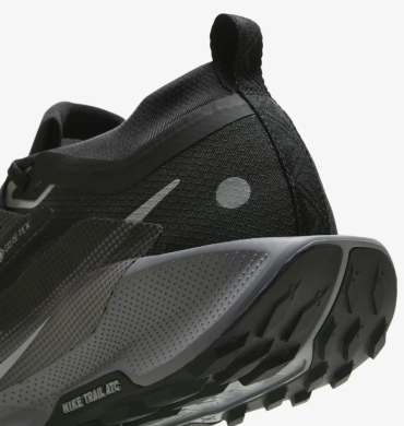 Кроссовки женские Nike Pegasus Trail 5 Gore-Tex (FQ0912-001), EUR 38,5