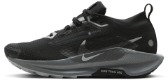 Кросівки жіночі Nike Pegasus Trail 5 Gore-Tex (FQ0912-001)