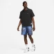 Шорты мужские Nike DNA (FB7005-480)