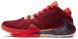 Баскетбольні кросівки Nike Zoom Freak 1 "Noble Red", EUR 42