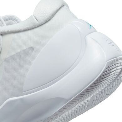 Мужские кроссовки Nike Jordan Zoom Separate (DH0249-141), EUR 41