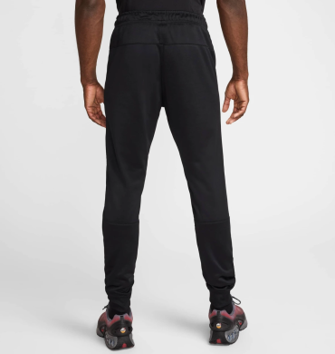 Штаны мужские Nike Air Max Pk Jogger (HQ4900-010)