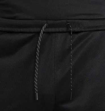 Штаны мужские Nike Air Max Pk Jogger (HQ4900-010)