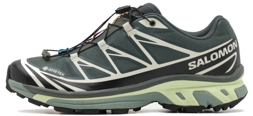 Кросівки Salomon XT-6 Gore-Tex 'Urban Chic / Black / Lime Cream' (L47581300), EUR 42