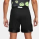 Шорты мужские Nike Ja Dri-Fit DNA (FN2975-010)