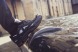Кросiвки Adidas x Raf Simons Ozweego 2 Bunny "Core Black", EUR 41