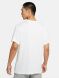 Мужская футболка Nike U Nk Df Tee Hbr (CW0945-100), XL