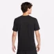 Футболка Nike Dri-FIT (FJ2401-010), XL