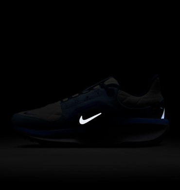 Кросівки жіночі Nike Winflo 11 Gore-Tex (FQ1359-002)