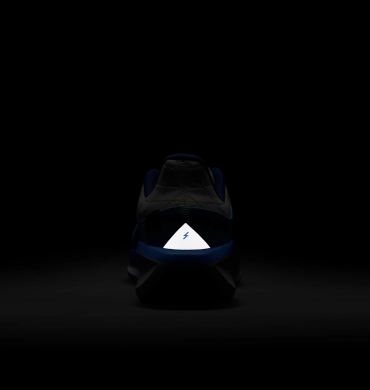 Кросівки жіночі Nike Winflo 11 Gore-Tex (FQ1359-002)