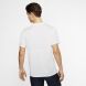Чоловіча футболка Nike M Nk Df Run Top Ss (CJ5332-100)