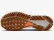 Мужские кроссовки Nike React Pegasus Trail 4 GORE-TEX M (FD5841-001), EUR 46