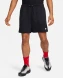 Мужские шорты Nike Club Men's Mesh Flow Shorts (FN3514-010), XL