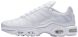 Чоловічі кросівки Nike Air Max Plus (AJ2029-100), EUR 44,5