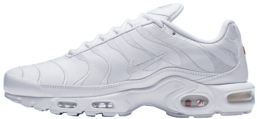 Мужские кроссовки Nike Air Max Plus (AJ2029-100)