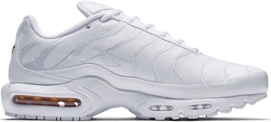 Чоловічі кросівки Nike Air Max Plus (AJ2029-100), EUR 44,5