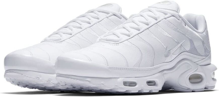 Чоловічі кросівки Nike Air Max Plus (AJ2029-100)