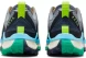 Мужские кроссовки Nike Wildhorse 8 (DR2686-400)