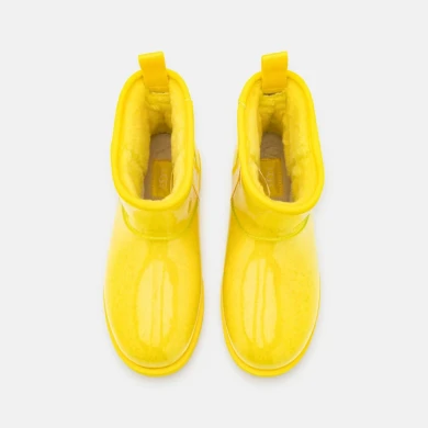 Жіночі черевики UGG Classic Clear Mini Boots (1112386KASS)