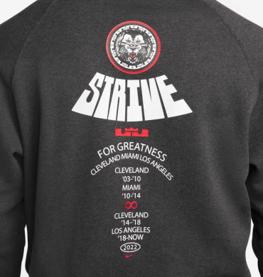 Худи мужское Nike LeBron Basketball Hoodie (DQ6129-032), L