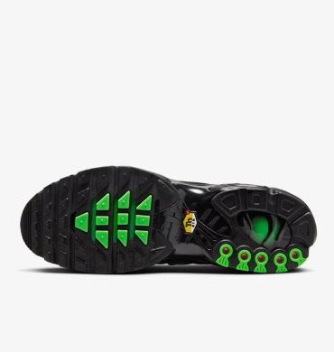Кроссовки мужские Nike Air Max Plus (IB3075-001), EUR 46