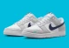 Чоловічі кросівки Nike Dunk Low (FJ4227-001), EUR 41