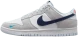 Мужские кроссовки Nike Dunk Low (FJ4227-001)