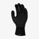 Перчатки женские Nike W Club Fleece (N.100.4361.010.MD), M