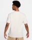 Футболка Nike Sportswear Premium Essentials (DO7392-074), L