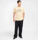 Мужские Брюки Nike SB Twill Double Knee (FV7349-010)
