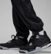 Штаны мужские Air Jordan Flight (FN4609-010), XL