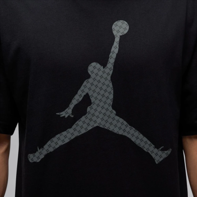 Футболка чоловіча Air Jordan Brk Mg Fill Ss Crew (IF0399-010), XL